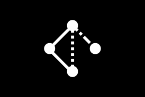 Bandiera della Privacy